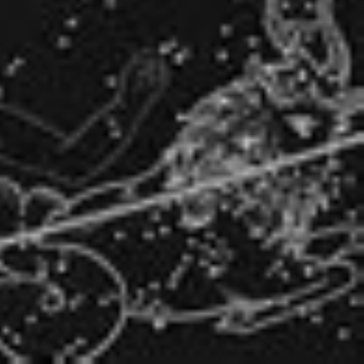 ویژه نامه صورت فلکی - مقالات صورت فلکی