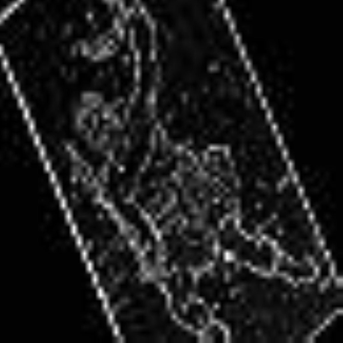 ویژه نامه صورت فلکی - مقالات صورت فلکی