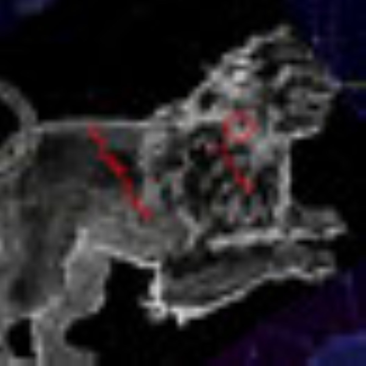 ویژه نامه صورت فلکی - مقالات صورت فلکی