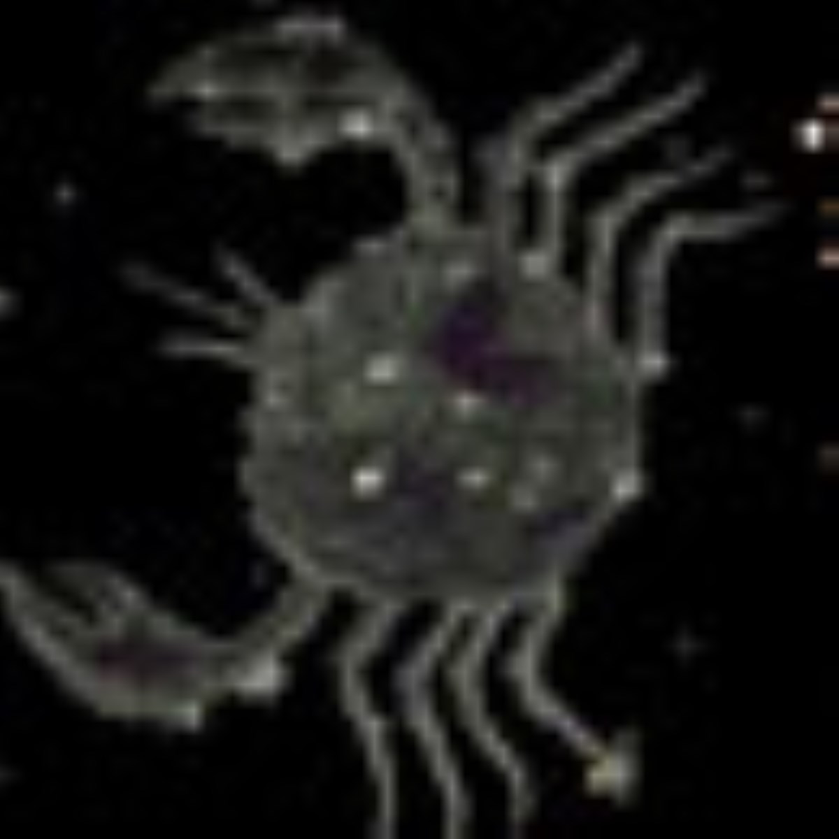 ویژه نامه صورت فلکی - مقالات صورت فلکی