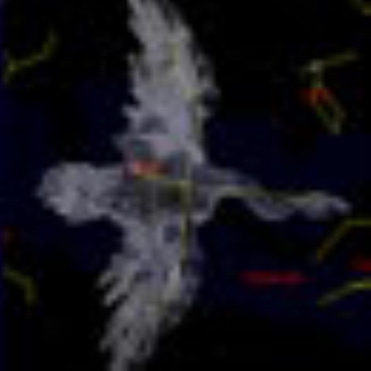 ویژه نامه صورت فلکی - مقالات صورت فلکی