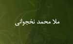 وفات محدث و رجالي ملامحمد نخجواني(1334 ق)