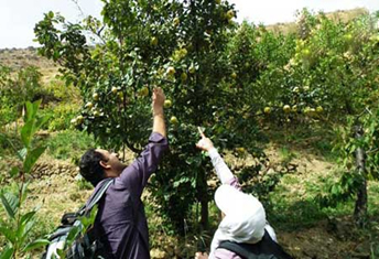  Barg-e Jahan, beautiful and spectacular village near Tehran