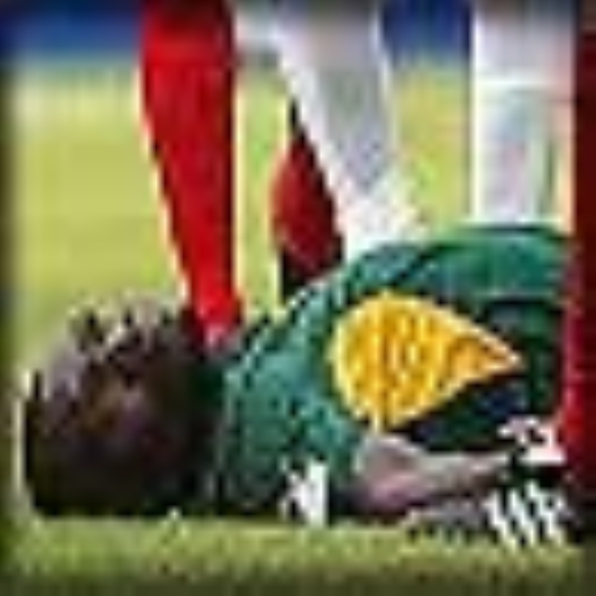 ویژه نامه اسیب های ورزشی-مقالات ورزشی