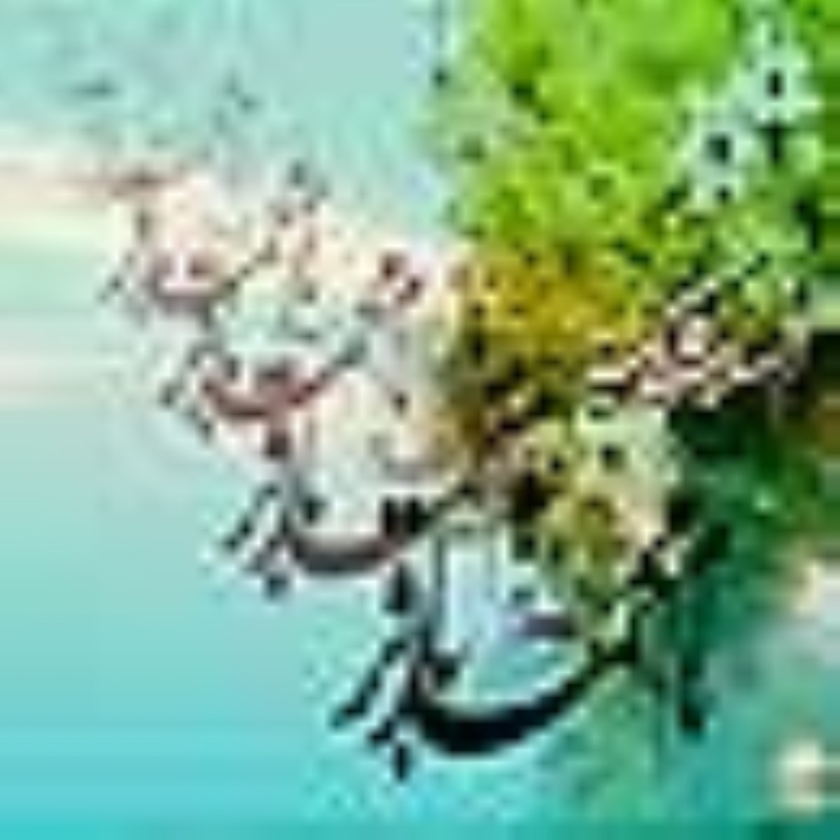 ویژه نامه ولادت امام باقر علیه السلام