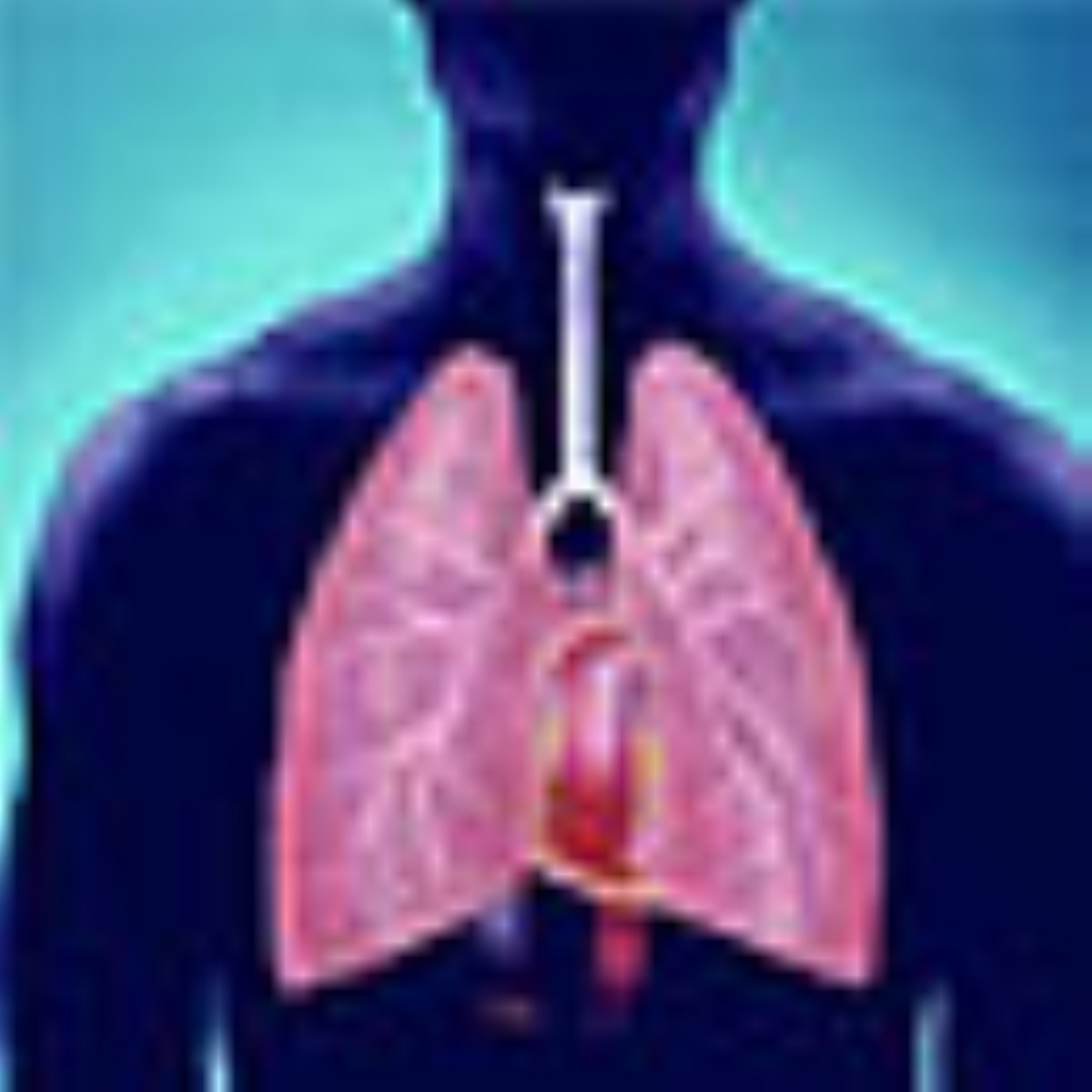 طاعون سفید - ویژه نامه روز جهانی سل