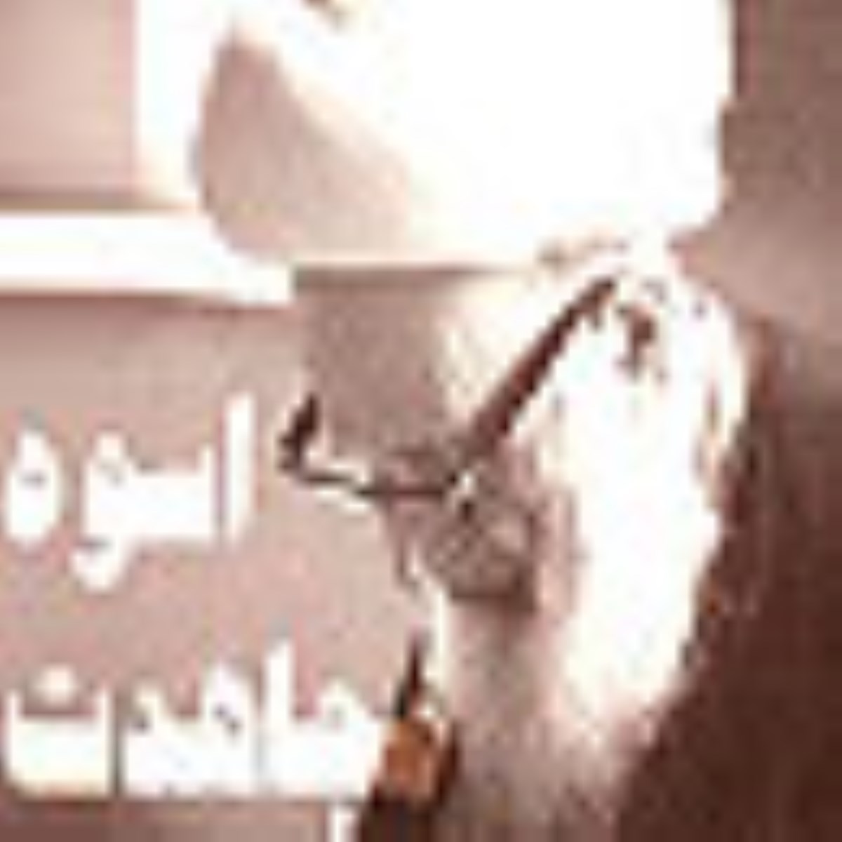 ویژه نامه شهادت آيت الله اشرفي اصفهاني 