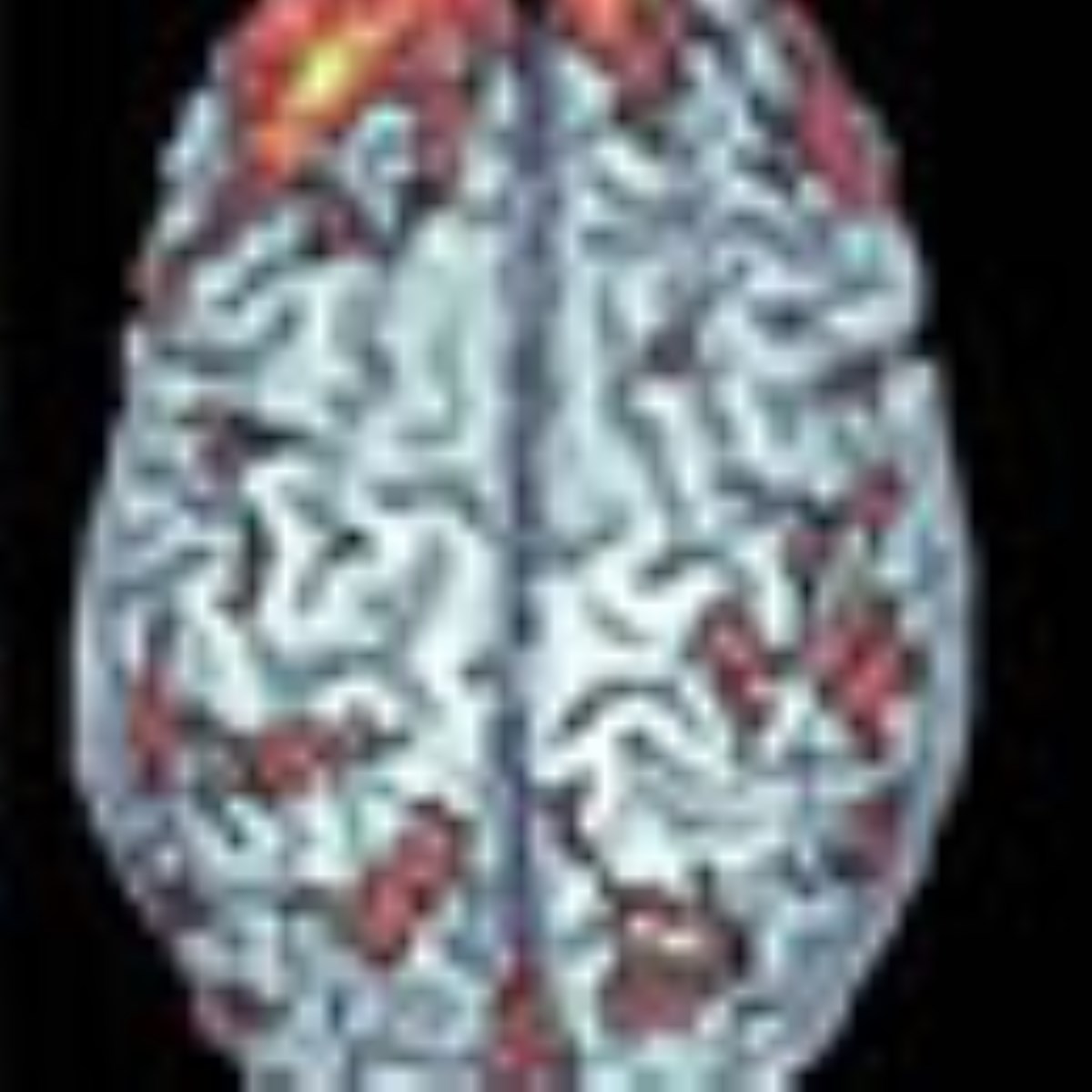 پيك سلامتي - ويژه نامه روز جهاني بهداشت