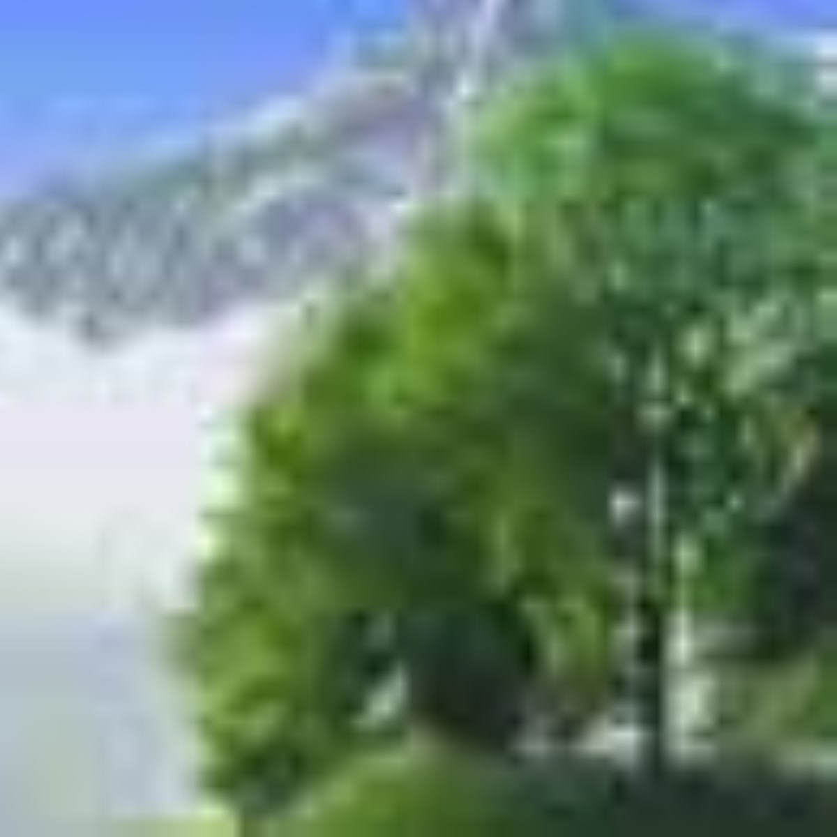 جهانی بیندیشیم - ویژه نامه روز زمین پاک