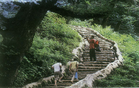 A thousand- step fort