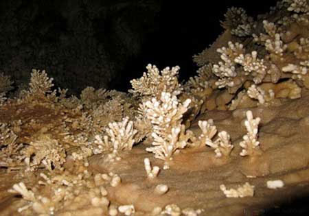 Pariyan Cave, one of the most beautiful caves in Isfahan Province