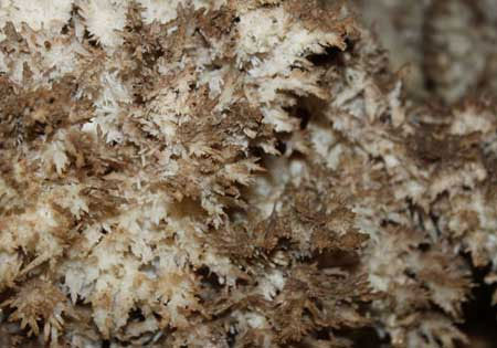 Pariyan Cave, one of the most beautiful caves in Isfahan Province