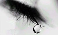 I Wish…