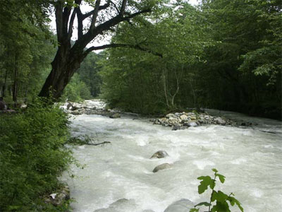  Dohezar Forest – Tonekabon