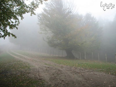 Here, the clouds have shaken hand with the earth 