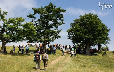 Here, the clouds have shaken hand with the earth 