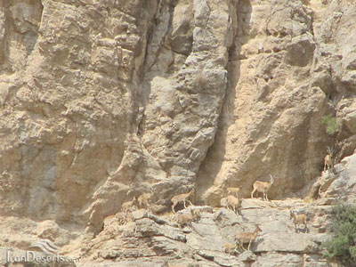 Kolah Ghazi National Park
