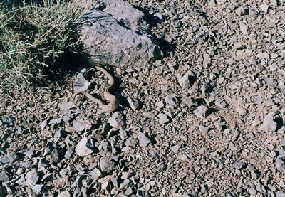 Kolah Ghazi National Park