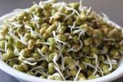 The amazing secrets of sprouts