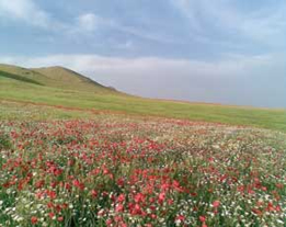 Unknown tourist attractions