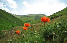 Suggestions for a trip in Shahrivar