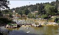  The largest birds’ garden in Lavizan