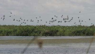      Wandering in nature in Nowruz