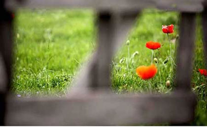      Wonderful villages for spring visits