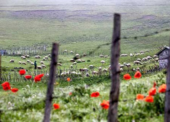      Wonderful villages for spring visits