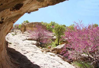      Wonderful villages for spring visits