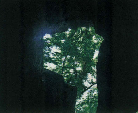 A haven for white demon of SHAHNAMEH (Iranian main historical book)