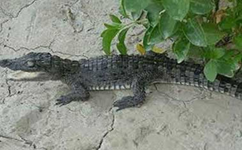 A trip to the coolest port of the country 