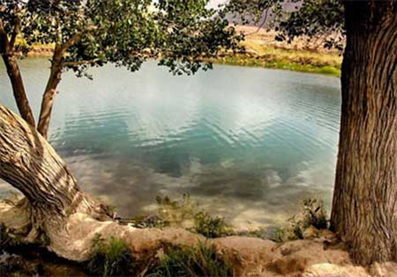 Gharbal Biz Spring