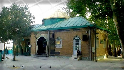 The Nighthawks of paradise