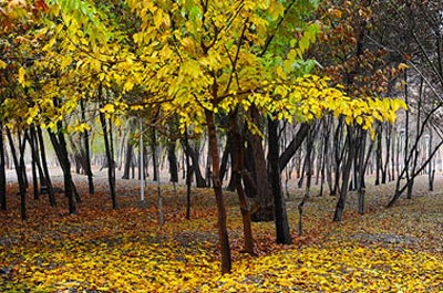  A one-day wander around Isfahan’s nature