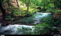 Attractions for village wanderers