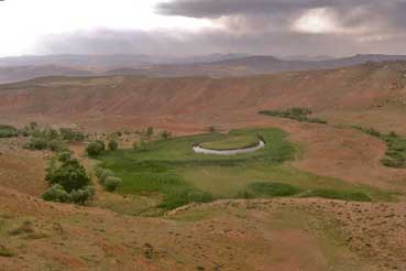 Chamli Gul, the most exceptional phenomenon in Iran