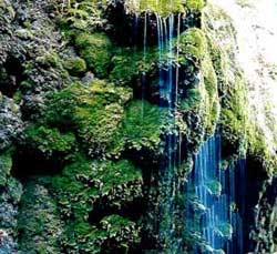  Experience Div Cheshme