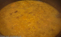   Squash Ash