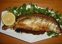 Fibij