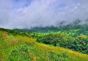 Fandoghlu Forests overlooking Heyran Col