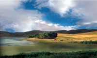    Ghara Gheshlagh Wetland