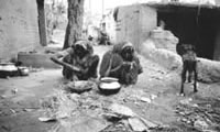   Iran invasion and dietary crisis of the World War II 