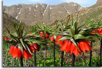 Spring of Kuhrang and its Beautiful landscapes