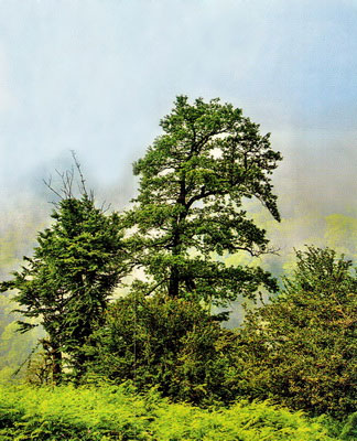 Ten wonderful options for travel 