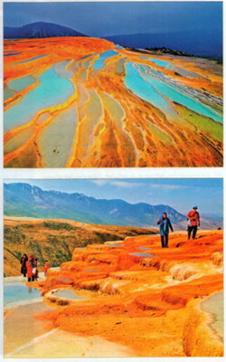 Ten wonderful options for travel 