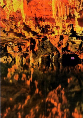 Ten wonderful options for travel 