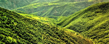 Ten wonderful options for travel 